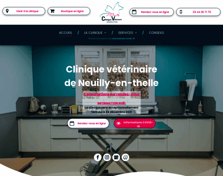 Cliniqueveterinaire-neuillyenthelle.fr thumbnail