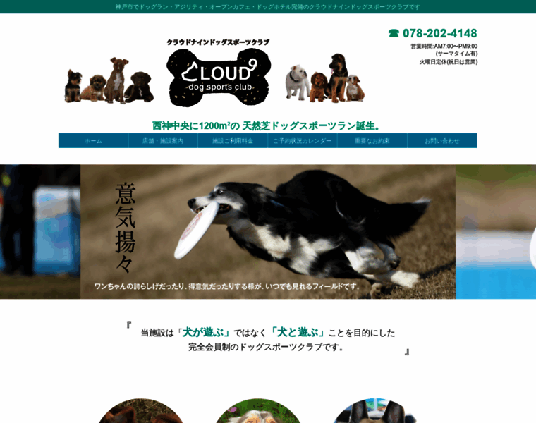 Cloud9dogclub.com thumbnail