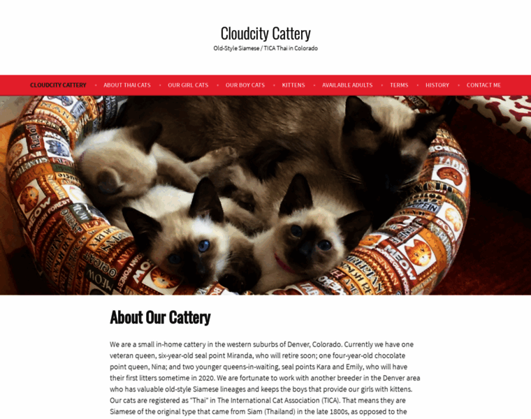 Cloudcitycattery.com thumbnail