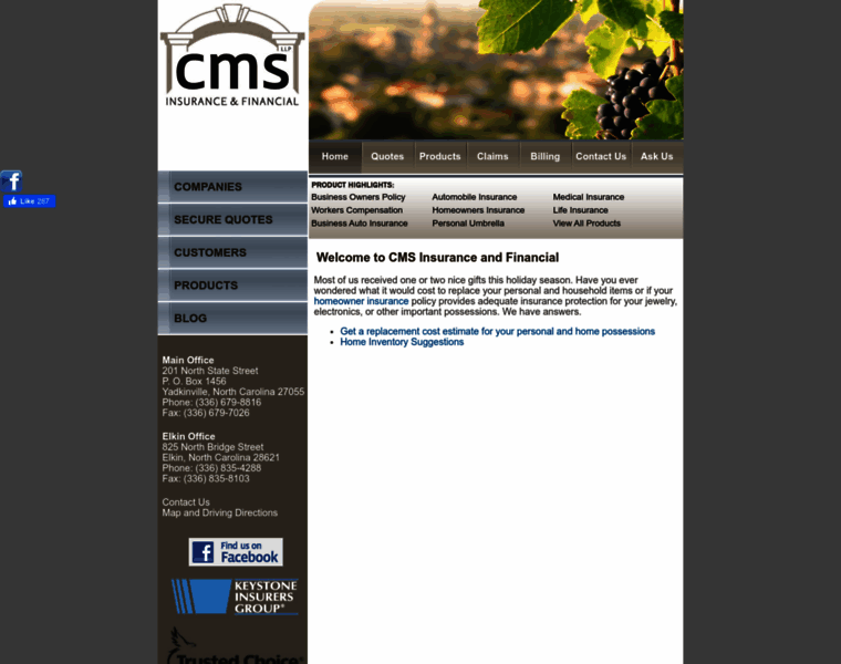 Cms-insurance.com thumbnail