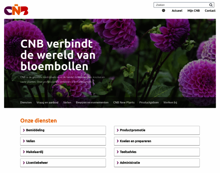 Cnb.nl thumbnail