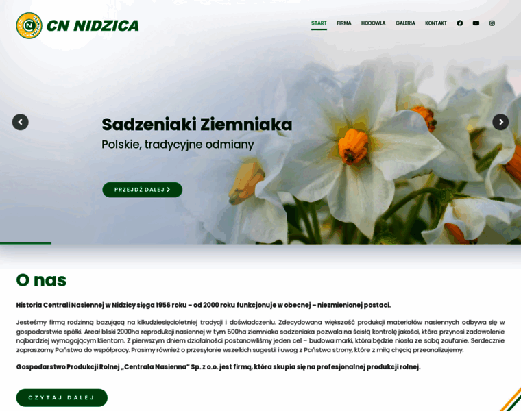 Cnnidzica.pl thumbnail