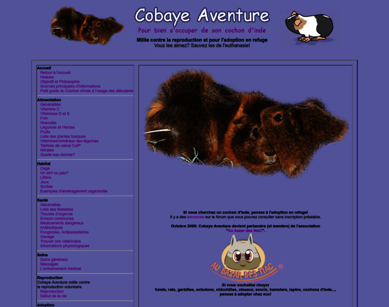 Cobayeaventure.fr thumbnail