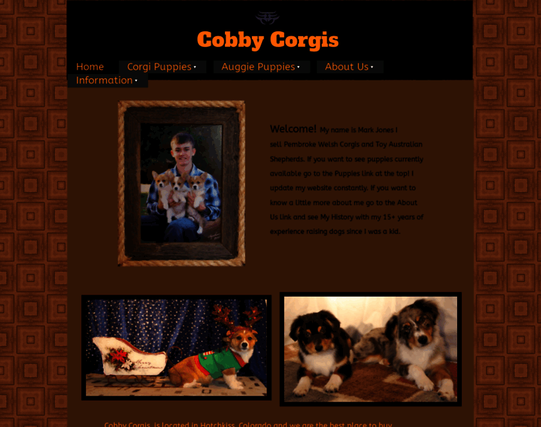 Cobbycorgis.com thumbnail