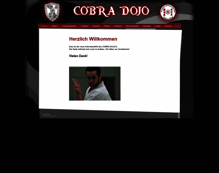 Cobra-dojo.de thumbnail