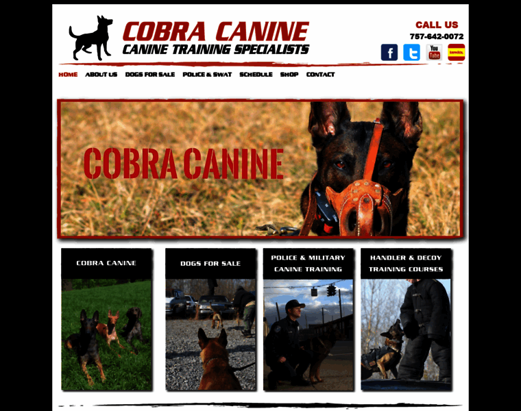 Cobracanine.com thumbnail