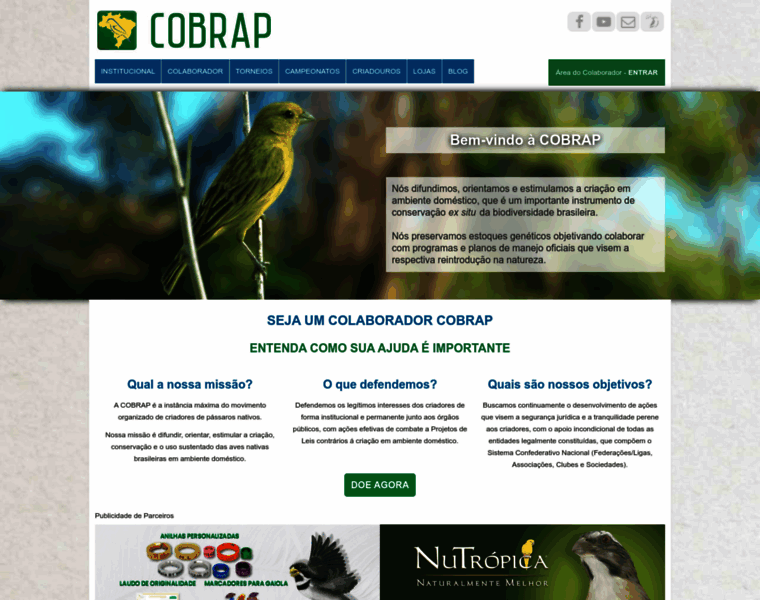 Cobrap.org.br thumbnail
