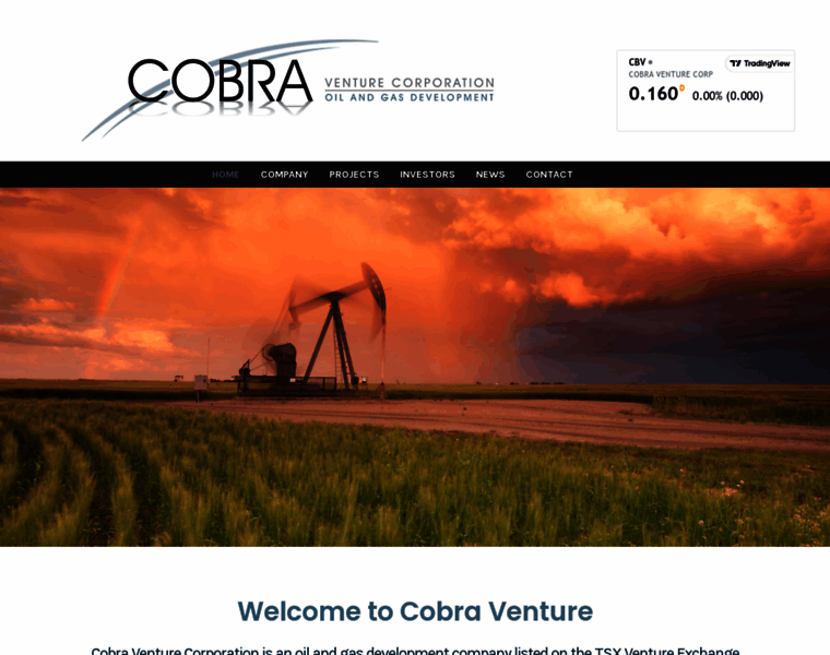 Cobraventure.com thumbnail