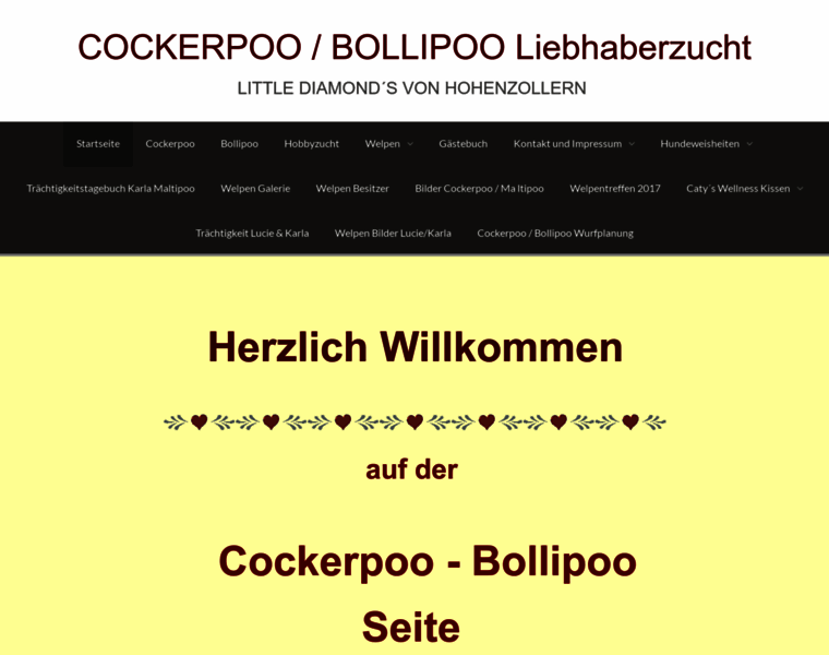 Cockerpoo-maltipoo.de thumbnail