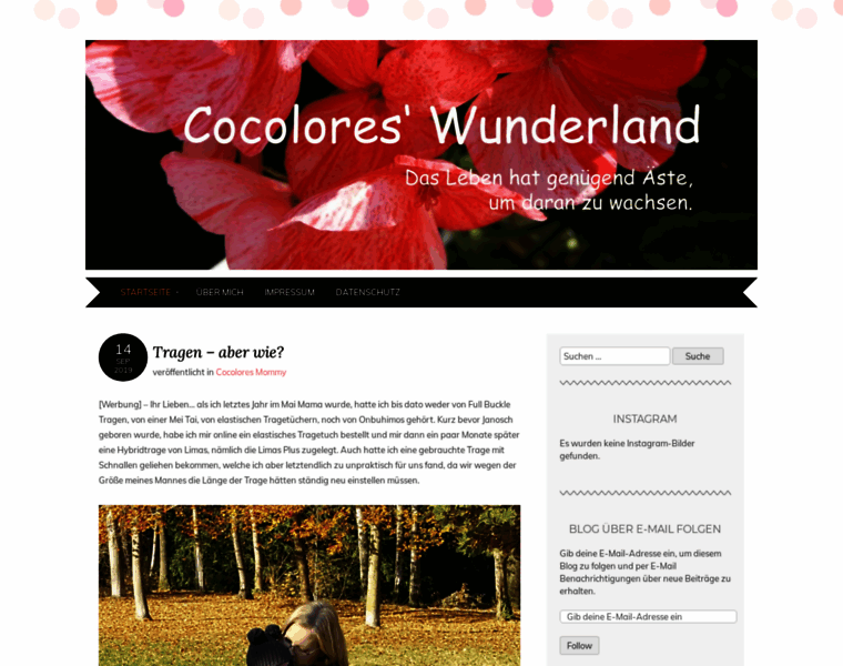 Cocoloreswunderland.com thumbnail