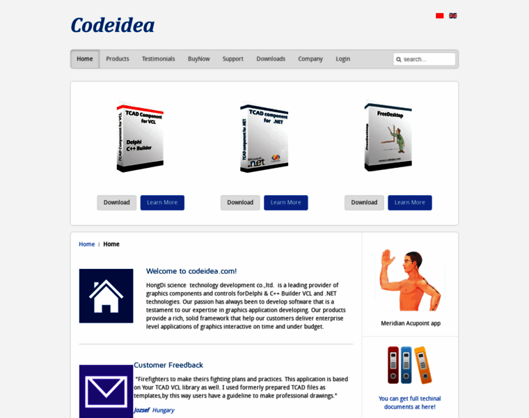 Codeidea.com thumbnail