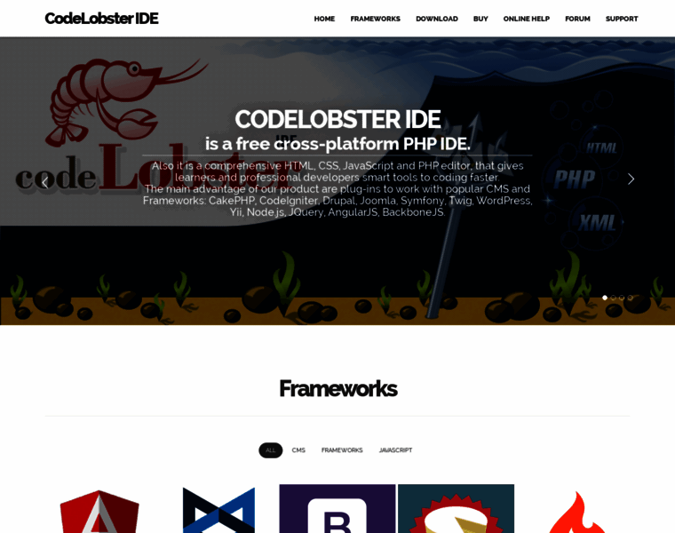 Codelobsteride.com thumbnail