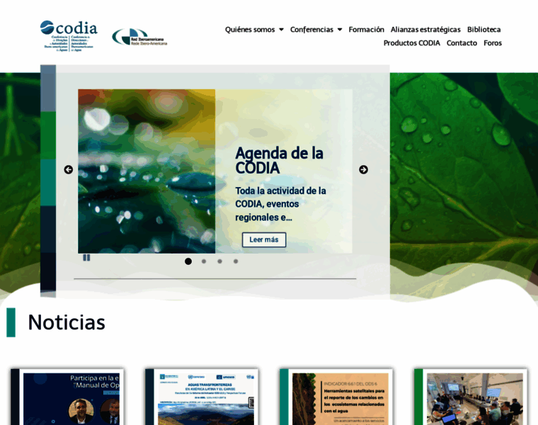 Codia.info thumbnail