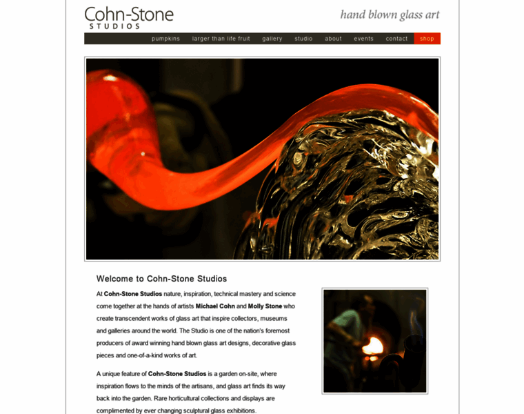 Cohnstone.com thumbnail