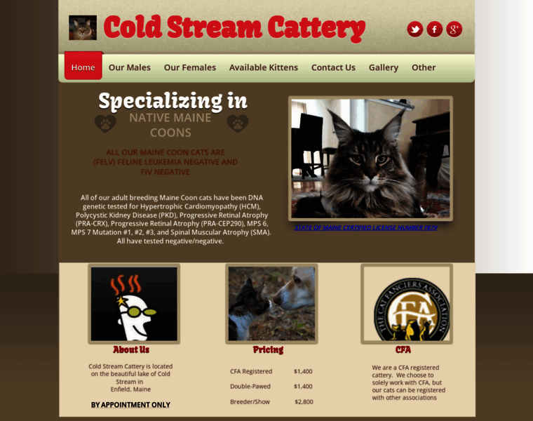 Coldstreamcattery.com thumbnail
