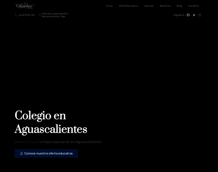 Colegioaguascalientes.com thumbnail