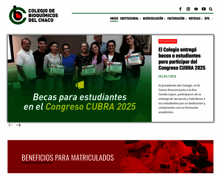Colegiobioquimicochaco.org.ar thumbnail