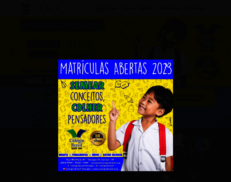 Colegiobrasil.org thumbnail