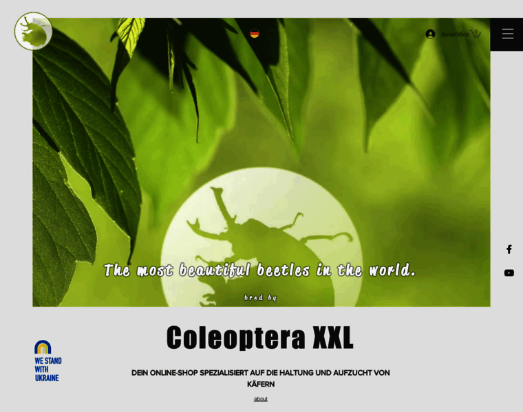 Coleoptera-xxl.de thumbnail