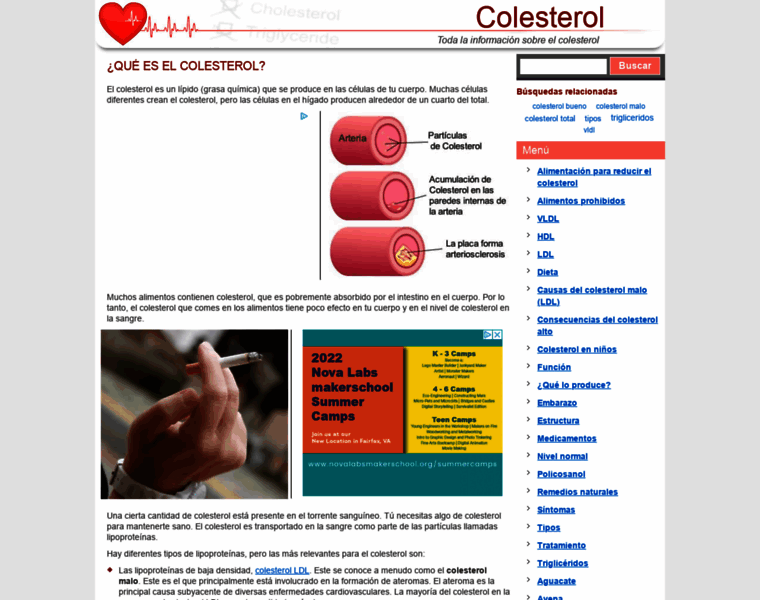 Colesterol.org.es thumbnail