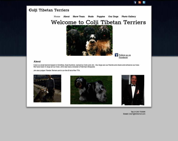 Colji.com thumbnail