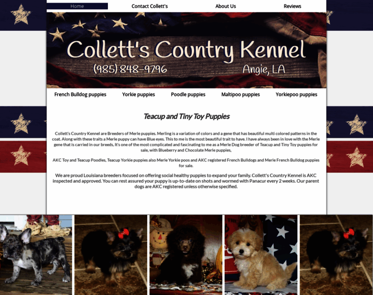 Collettscountrykennel.com thumbnail