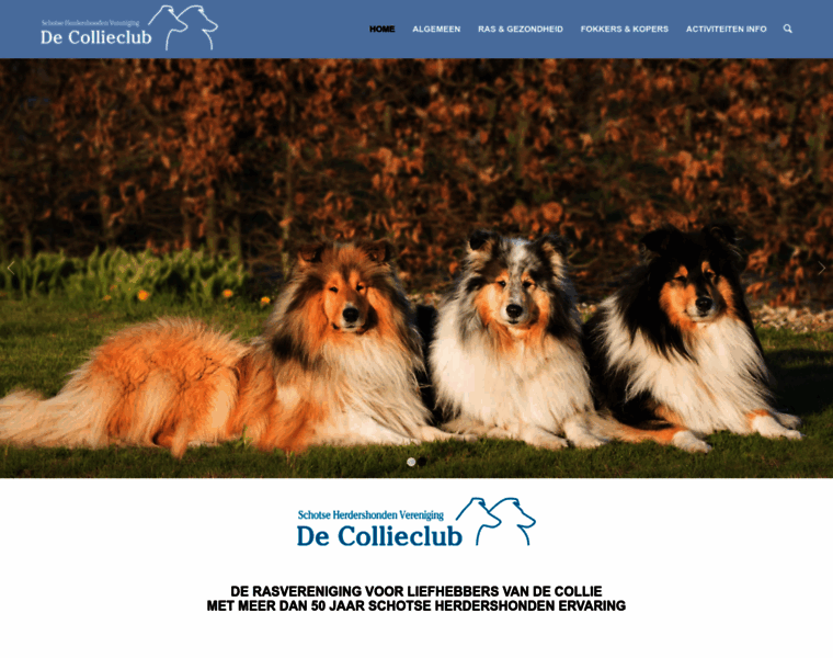 Collieclub.nl thumbnail