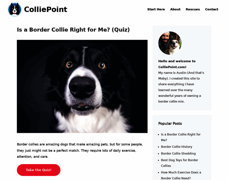 Colliepoint.com thumbnail