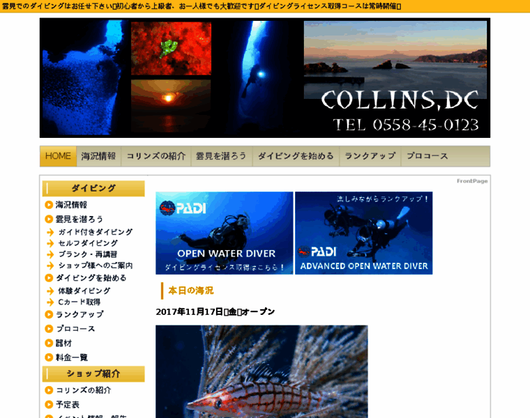 Collinsdc.jp thumbnail