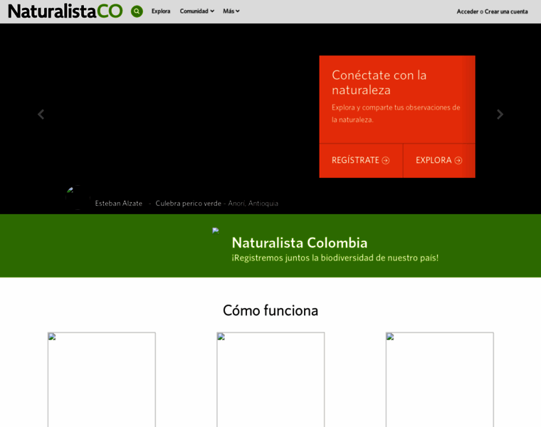 Colombia.inaturalist.org thumbnail