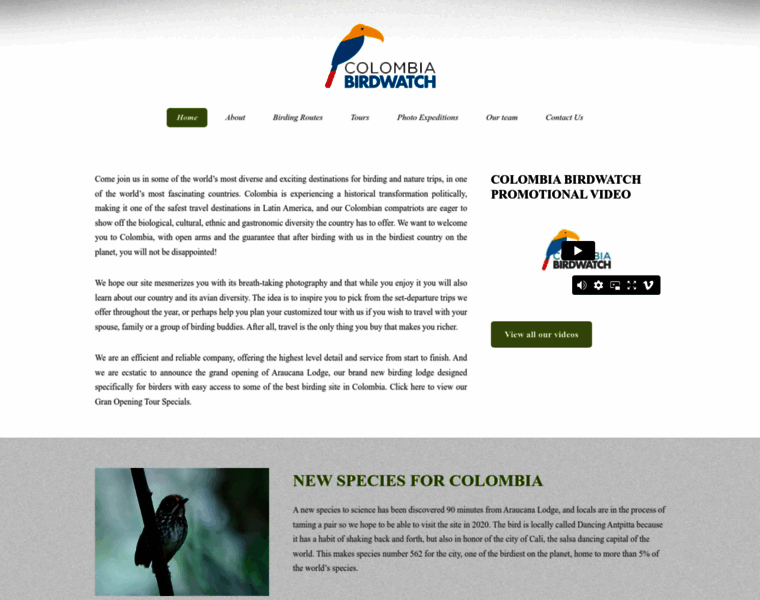 Colombiabirdwatch.com thumbnail
