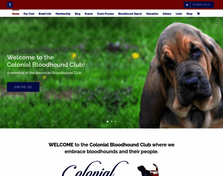 Colonialbloodhoundclub.org thumbnail