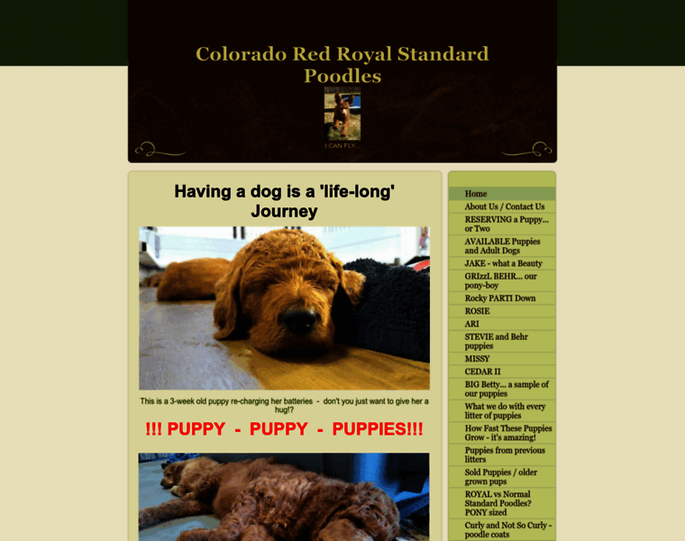 Coloradoredroyalstandardpoodles.com thumbnail