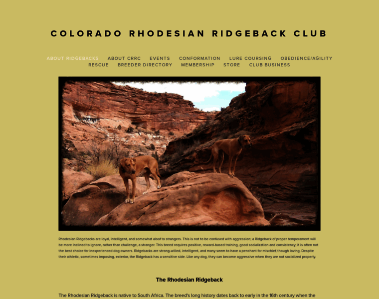 Coloradorhodesianridgebackclub.org thumbnail
