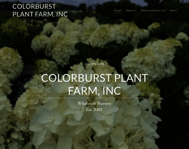 Colorburstplantfarm.com thumbnail