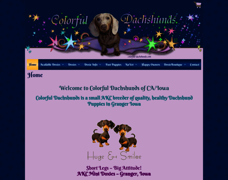 Colorful-dachshunds.com thumbnail