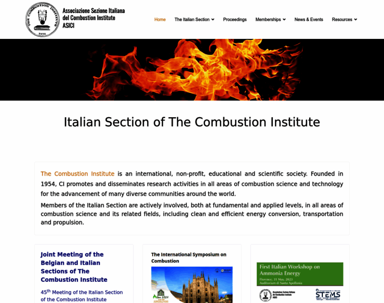 Combustion-institute.it thumbnail