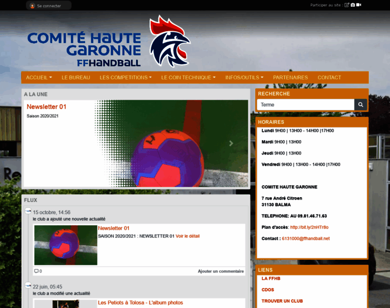 Comite-handball31.org thumbnail