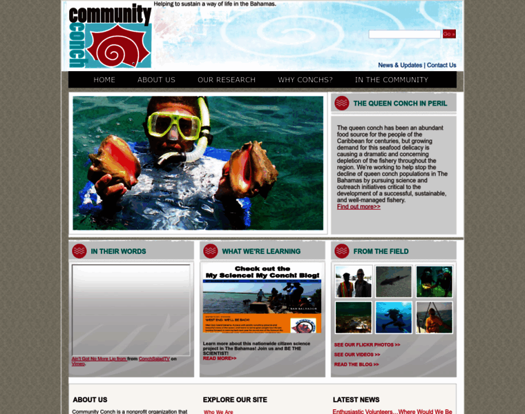 Communityconch.org thumbnail Communityconch.org thumbnail