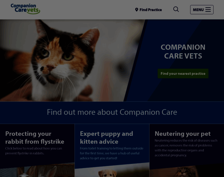Companioncare.co.uk thumbnail
