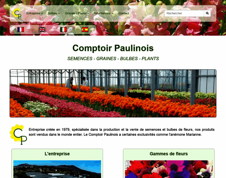 Comptoir-paulinois.com thumbnail