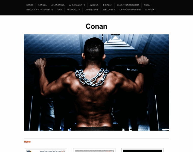 Conan-silownia.pl thumbnail