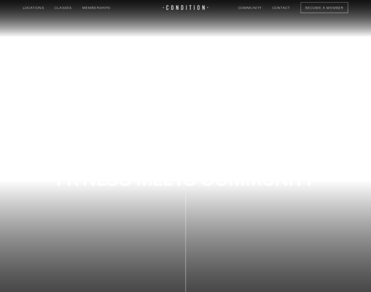 Conditiongym.com thumbnail