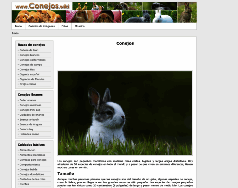 Conejos.wiki thumbnail