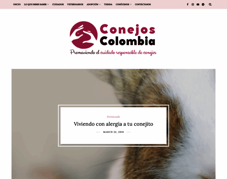 Conejoscolombia.com thumbnail