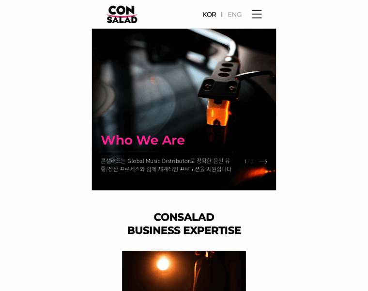 Consalad.net thumbnail