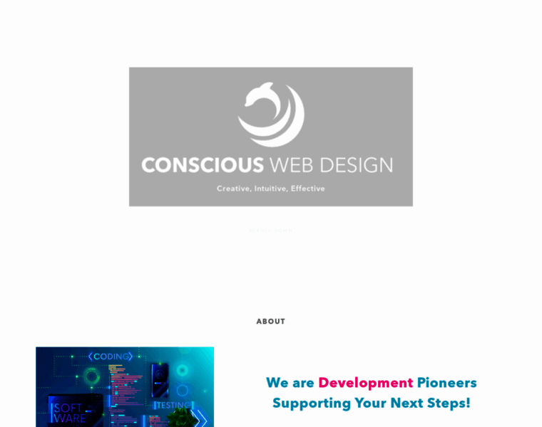 Consciouswebdesign.com thumbnail