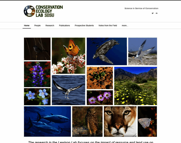Conservationecologylab.com thumbnail