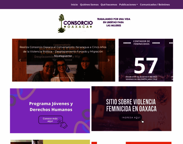 Consorciooaxaca.org.mx thumbnail