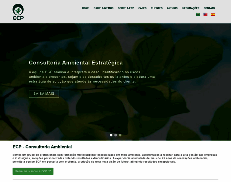 Consultoriaambiental.com.br thumbnail
